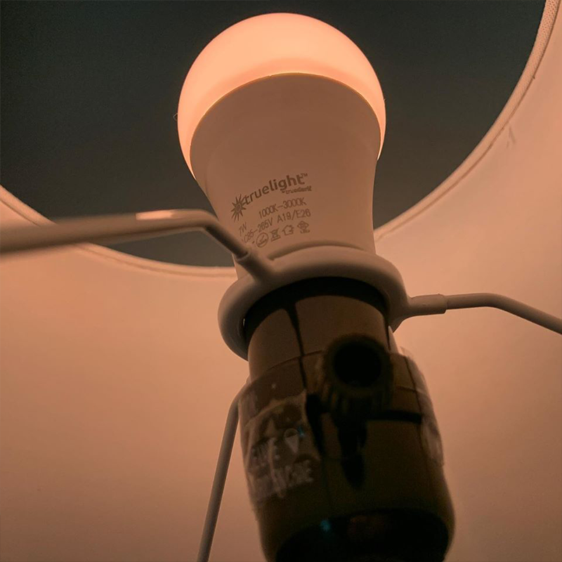 The Best Bulbs for Better Sleep